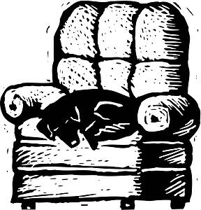 Dog 19