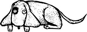 Dog 20