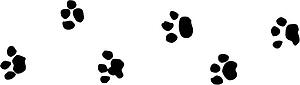 Dog 21
