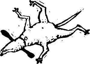 Dog 24