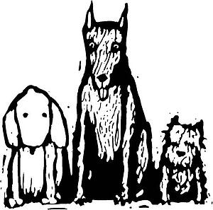 Dog 28