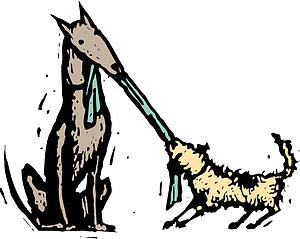Dog 29