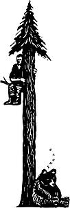 Humn 51