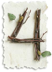 Stick Paper 4