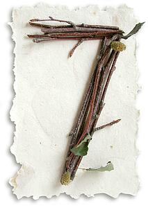 Stick Paper 7