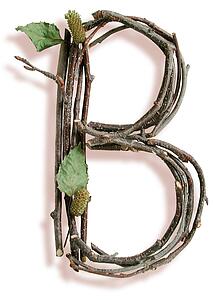 Stick B