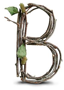 Stick Cast Shadow B