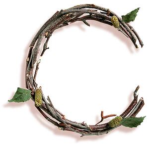 Stick C