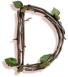 Stick D
