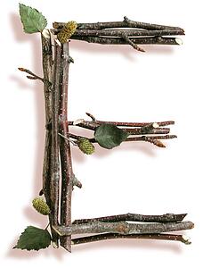 Stick E