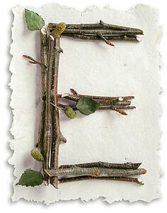 Stick Paper E