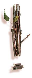 Stick Exclamation