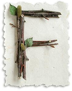 Stick Paper F