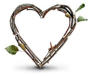 Stick Cast Shadow Heart