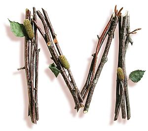 Stick M