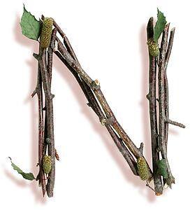 Stick N