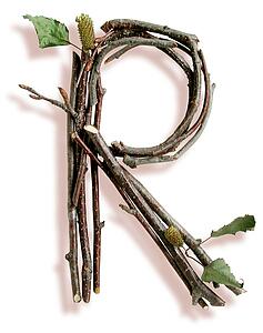Stick R
