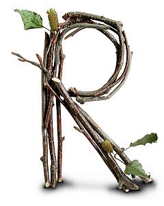 Stick Cast Shadow R