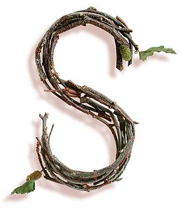 Stick S