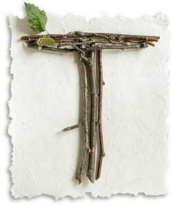 Stick Paper T