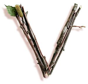 Stick V