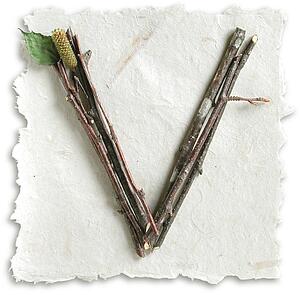Stick Paper V