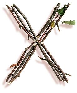 Stick X