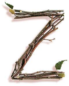 Stick Z