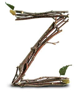 Stick Cast Shadow Z