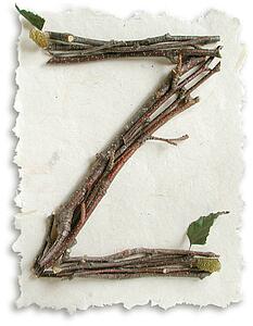 Stick Paper Z