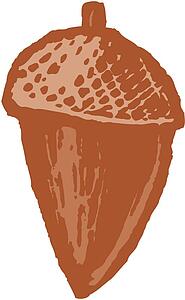 Acorn