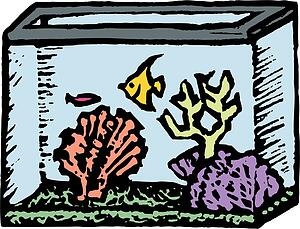 Aquarium