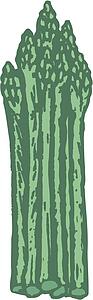 Asparagus