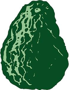 Avocado 2