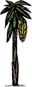 Banana Tree