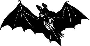 Bat