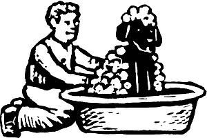 Dog Bath