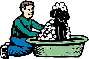 Dog Bath