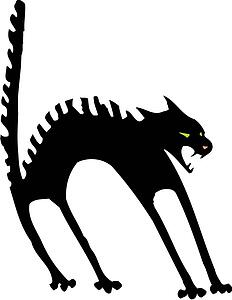 Black Cat 2