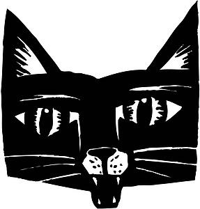 Black Cat 1
