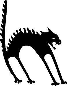 Black Cat 2