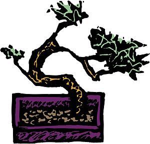 Bonsai 2