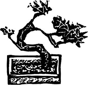 Bonsai 2