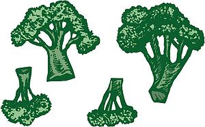 Broccoli