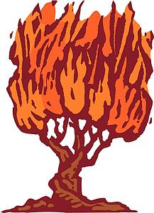 Burning Bush