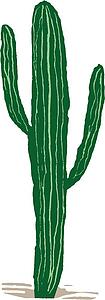 Cactus 1