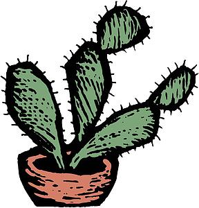 Cactus 3