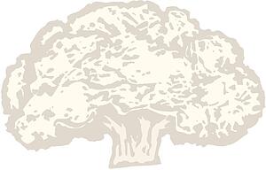 Cauliflower