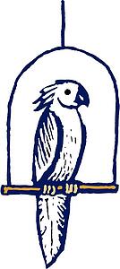 Cockatoo
