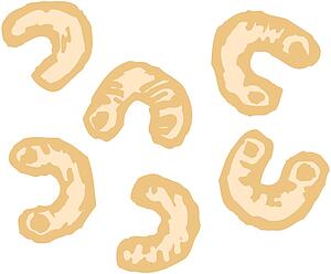 Elbow Macaroni